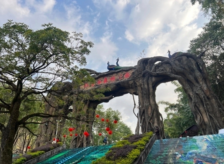 Unveiling the Secrets of Mangshi Peacock Valley: Your Ultimate Travel Guide