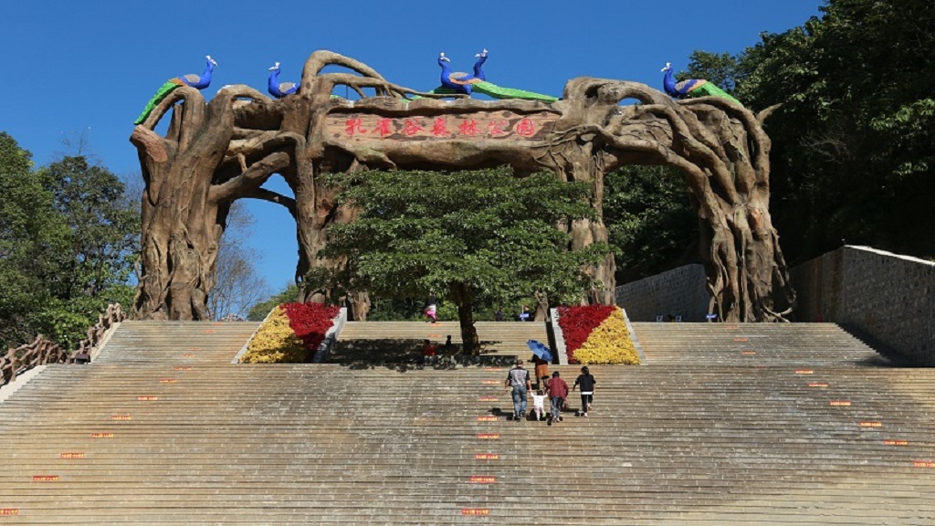 A scenic view of mangshi peacock valley