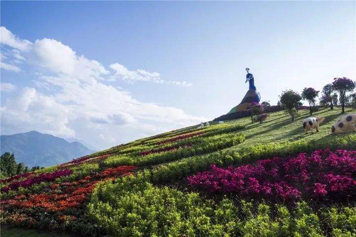 A scenic view of mangshi peacock valley