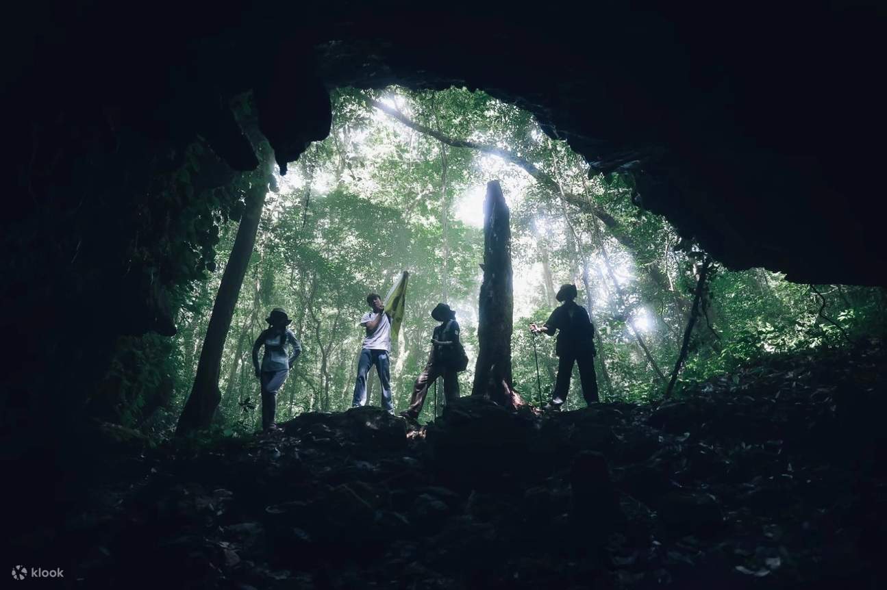 A scenic view of maolan karst forest