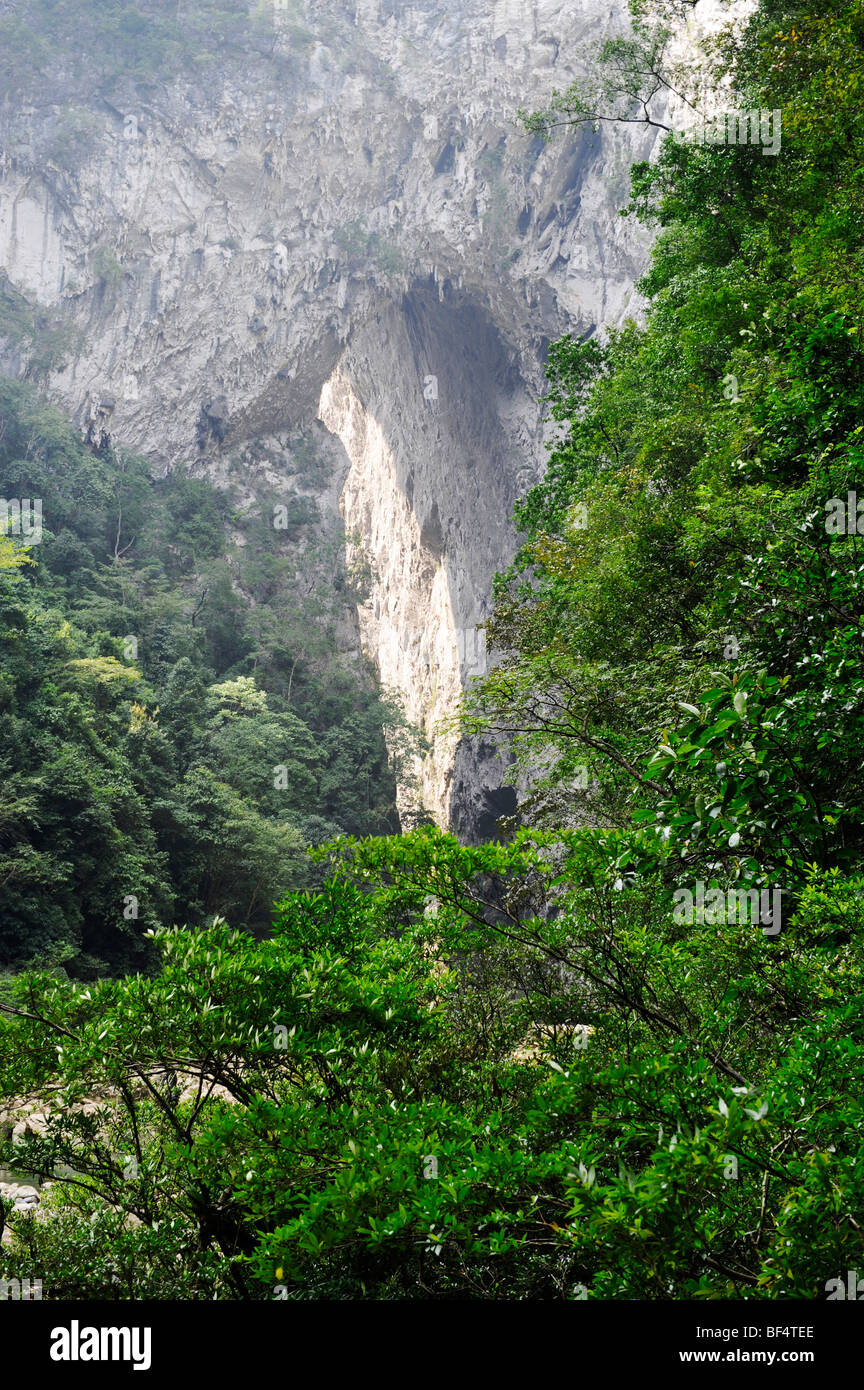 A scenic view of maolan karst forest