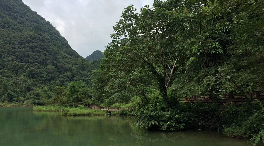 A scenic view of maolan karst forest