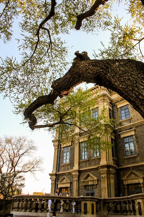 A scenic view of marshal_zhangs_mansion
