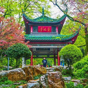 A scenic view of Mawangdui Han Tombs