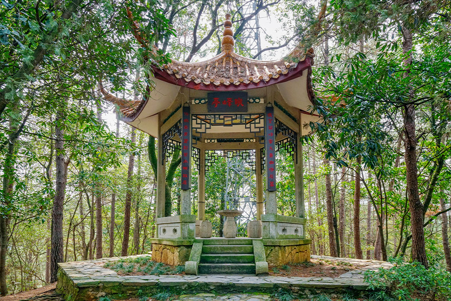 A scenic view of Mawangdui Han Tombs