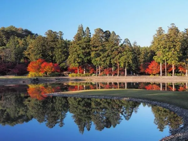 Why Meidaizhao Heritage Should Be Your Next Travel Adventure