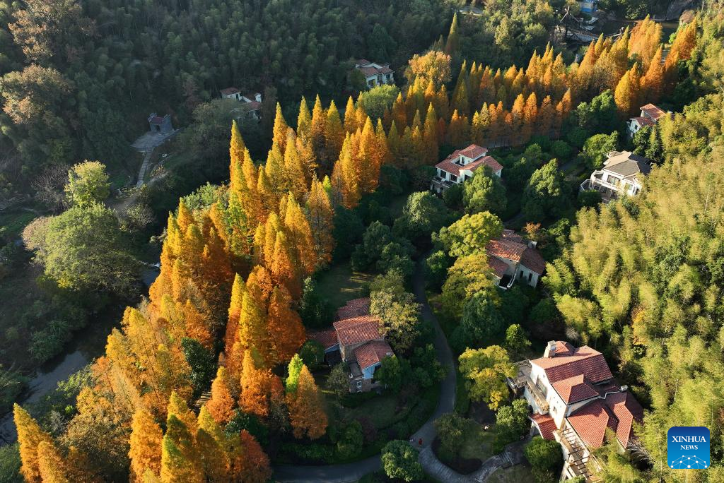 A scenic view of Meiling National Forest Park