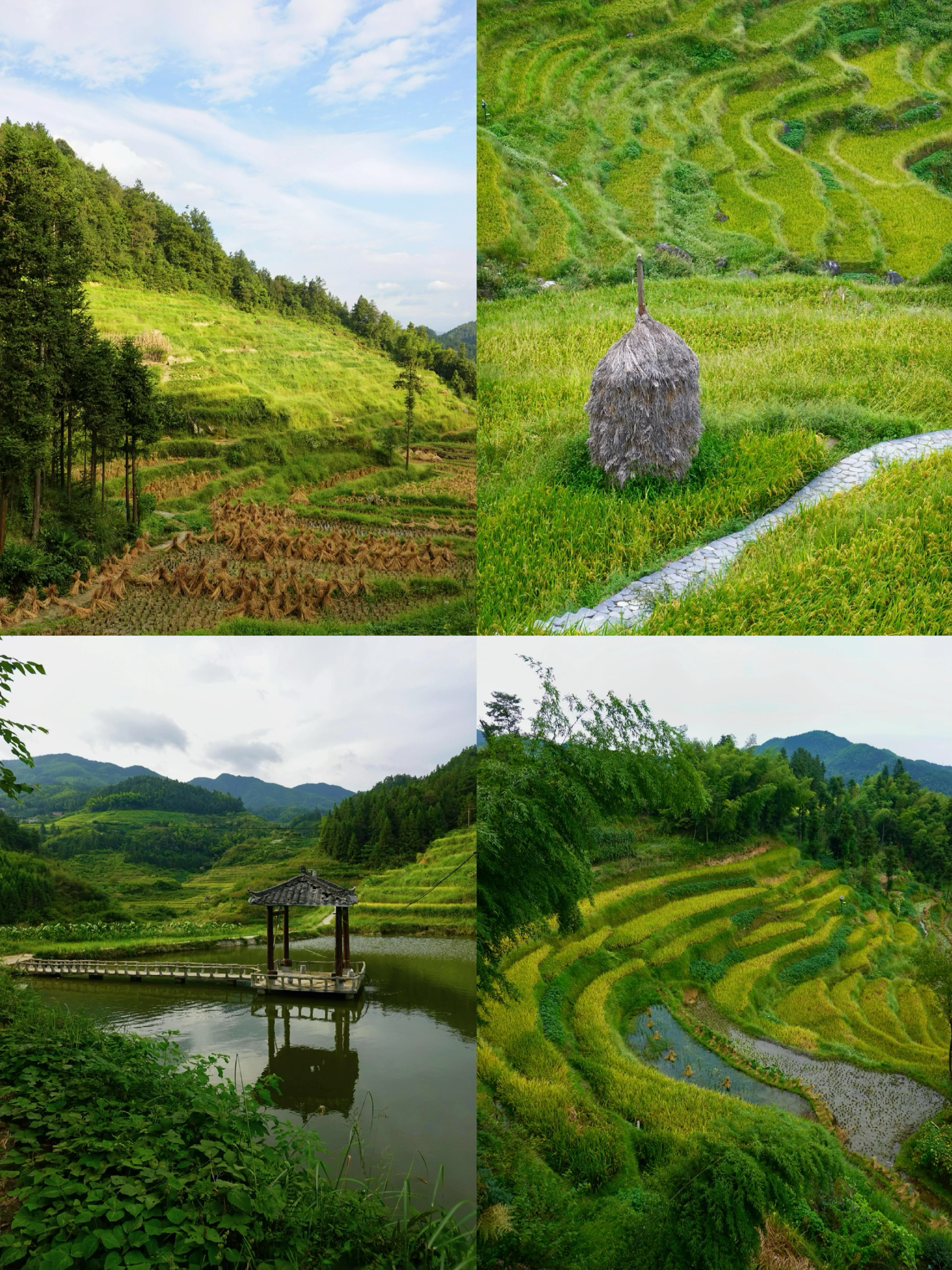 A scenic view of Meishan Dragon Palace