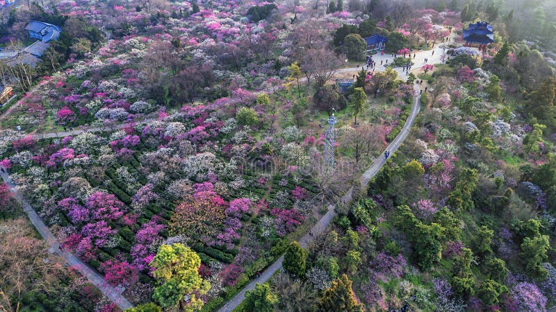 A scenic view of meiyuan garden
