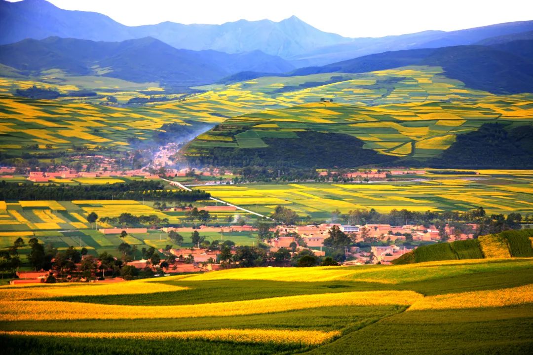 A scenic view of menyuan_rapeseed_flower_sea