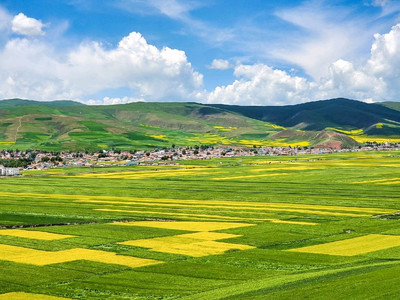 A scenic view of menyuan_rapeseed_flower_sea