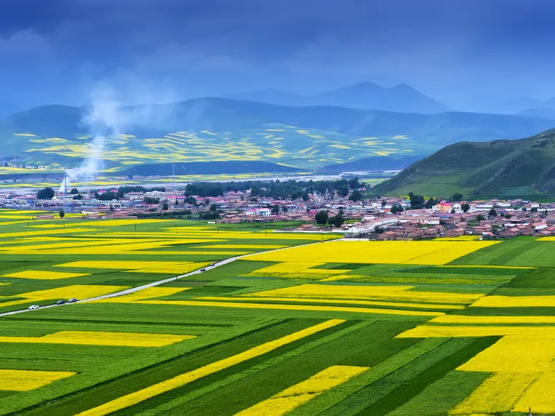 A scenic view of menyuan_rapeseed_flower_sea
