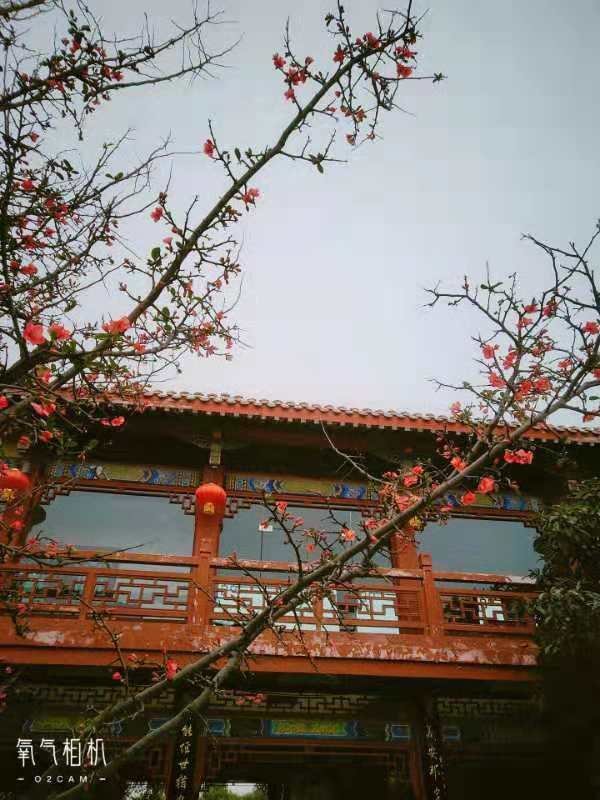 A scenic view of mianyang yuewang tower