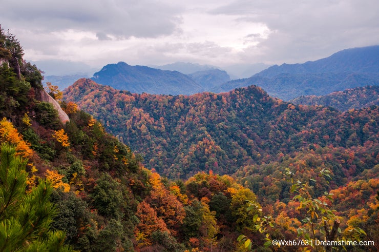 Discover the Majestic Beauty of Micang Mountain: Your Ultimate Travel Guide