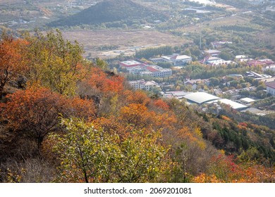 A scenic view of ming_tombs