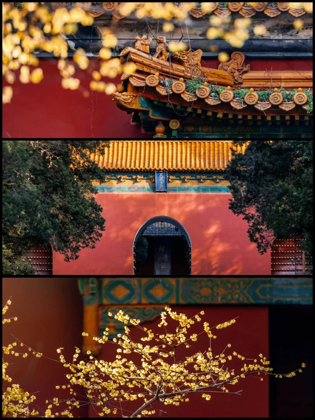 A scenic view of ming xiaoling mausoleum