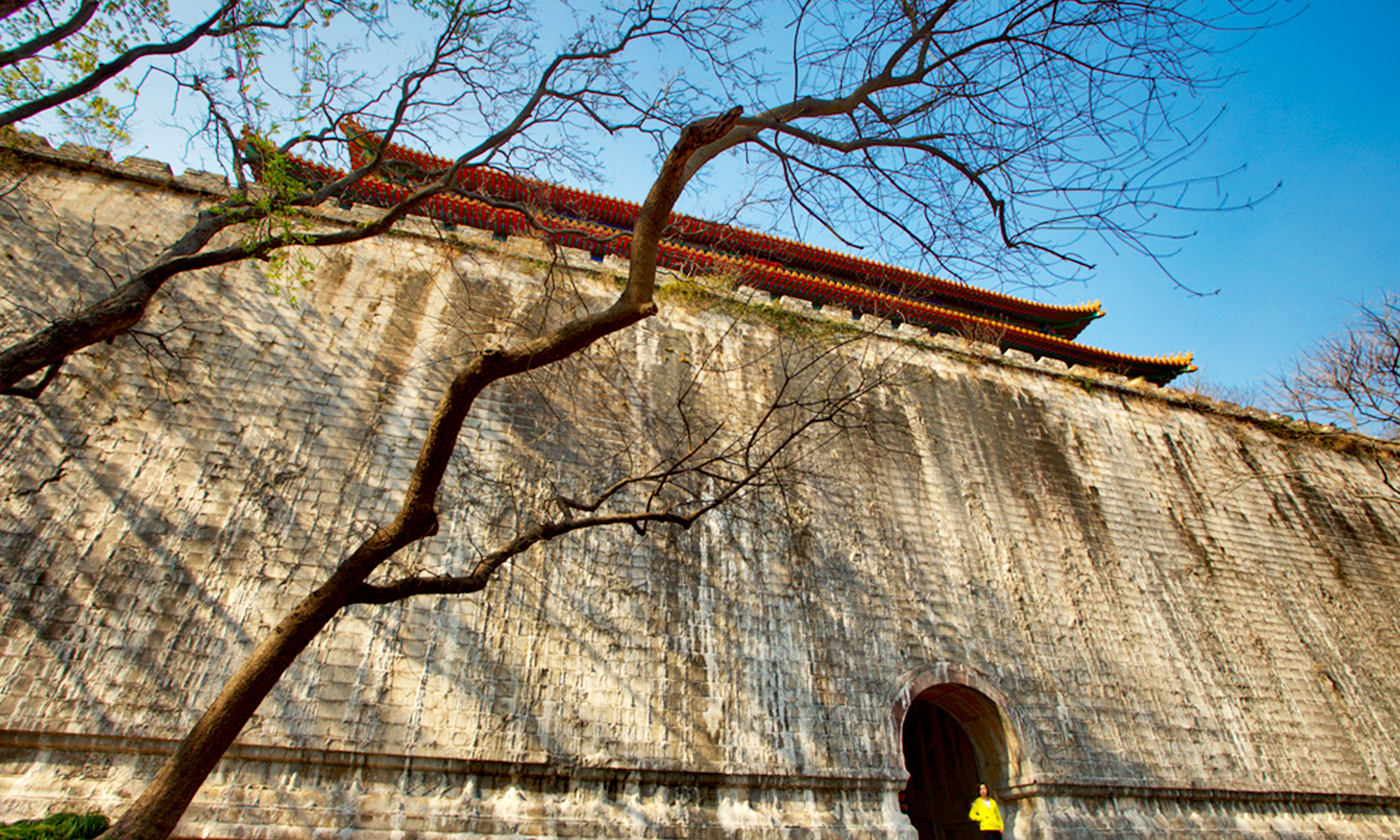 A scenic view of ming xiaoling mausoleum