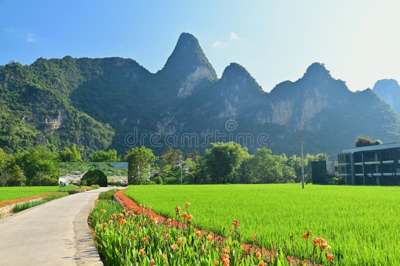 A scenic view of mingshi pastoral scenery