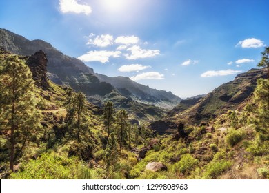 A scenic view of mogan mountain