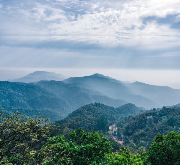 A scenic view of mogan mountain