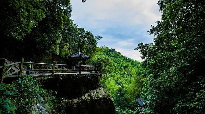 A scenic view of mogan mountain