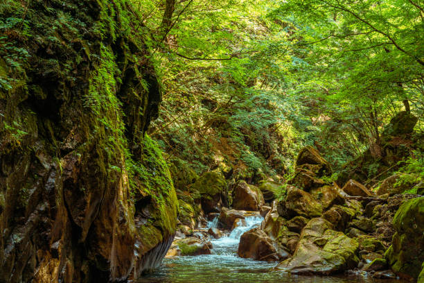 A scenic view of Mount Liangshan