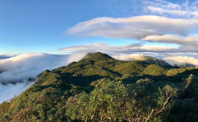 Why Mount Mao Should Be Your Next Travel Destination in China