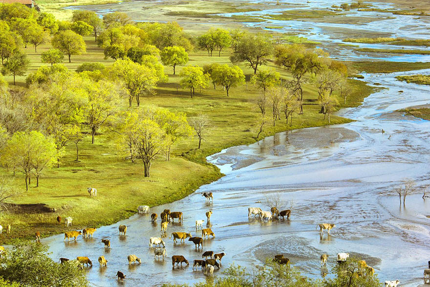 A scenic view of Mulan Paddock