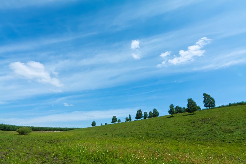 A scenic view of Mulan Paddock