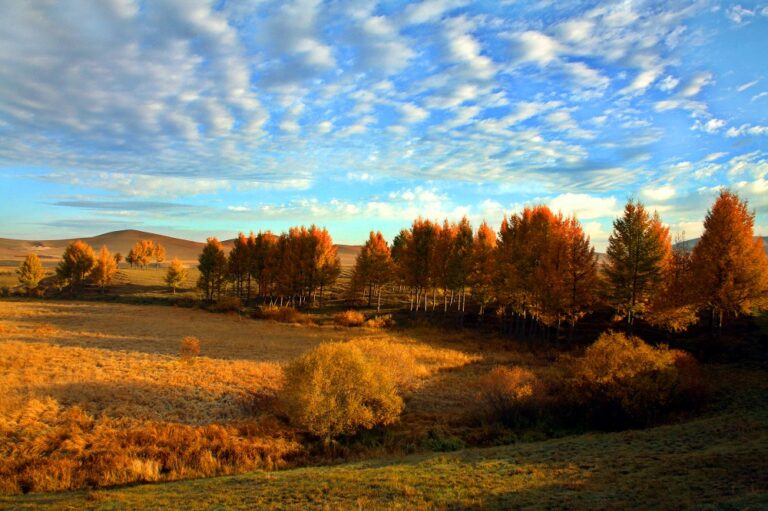 Mulan Paddock: Where Myth Meets Nature in the Heart of China