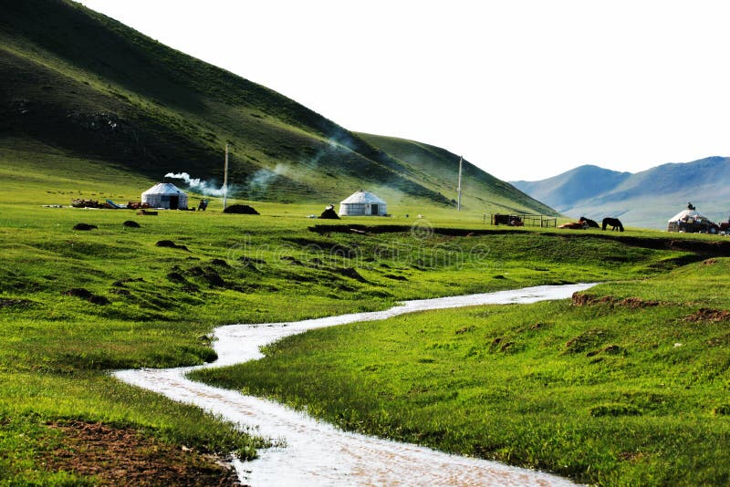 A scenic view of Mulan Paddock