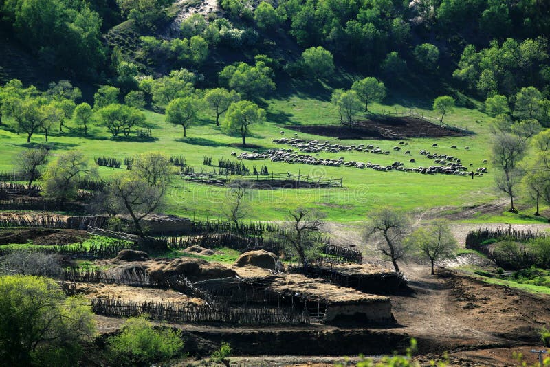 A scenic view of Mulan Paddock