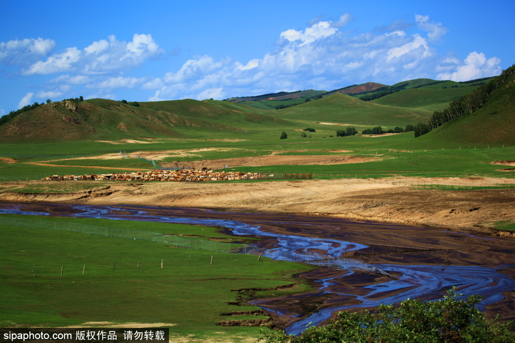 A scenic view of Mulan Paddock