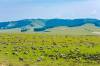A scenic view of Mulan Prairie