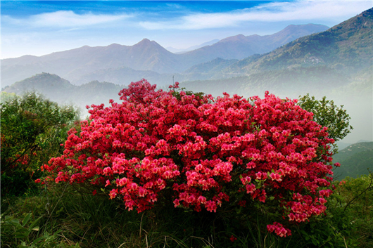 A scenic view of Mulan Tourism Area