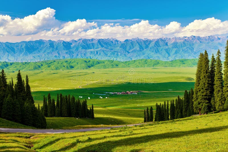 A scenic view of nalati grassland