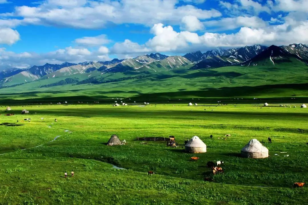 A scenic view of nalati grassland