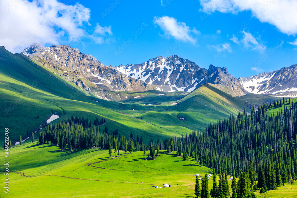 Nalati Grassland: Your Ultimate Guide to Experiencing Nature’s Splendor