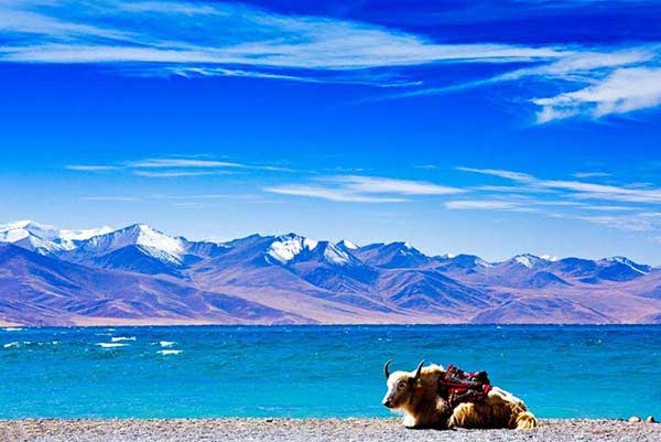 A scenic view of namtso lake