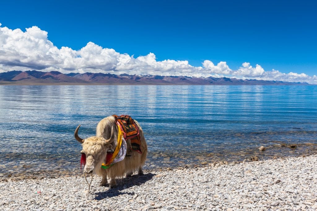 A scenic view of namtso lake