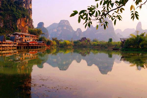 A Day at Nanning Flower and Bird Market: Where Culture Meets Nature