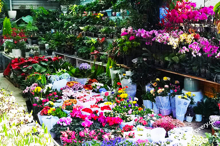 A scenic view of nanning flower and bird market