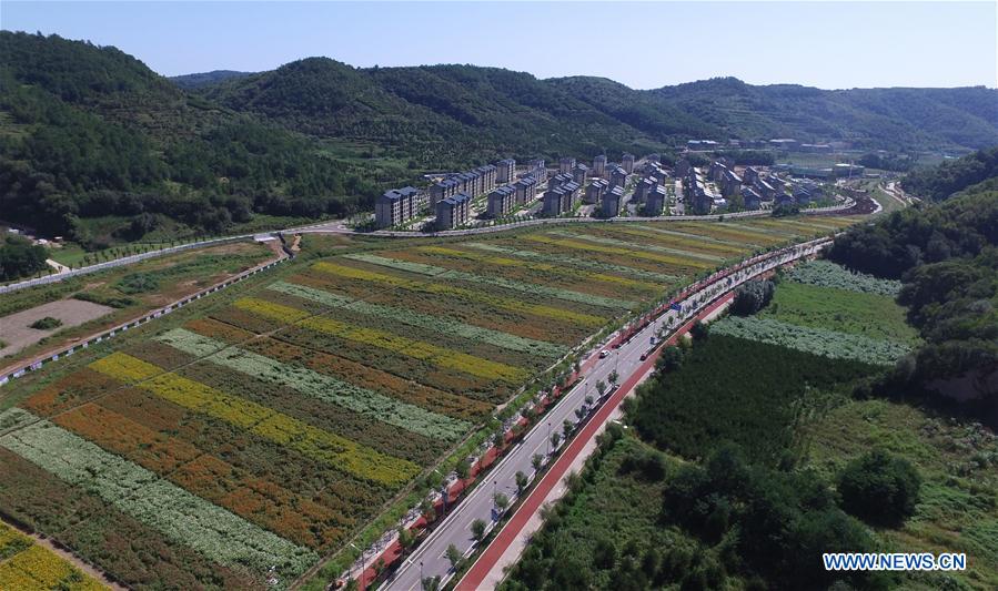 A scenic view of nanniwan_scenic_area