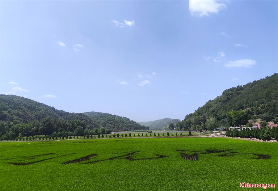 A scenic view of nanniwan_scenic_area