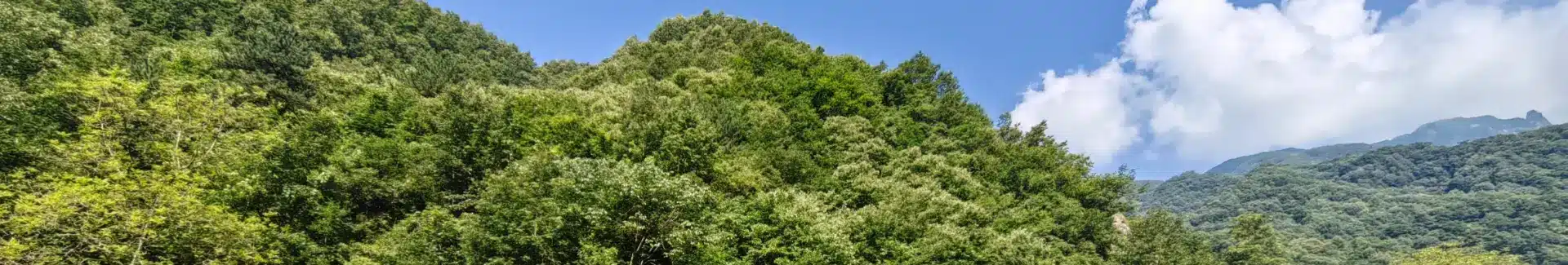 A scenic view of niubeiliang_national_forest_park