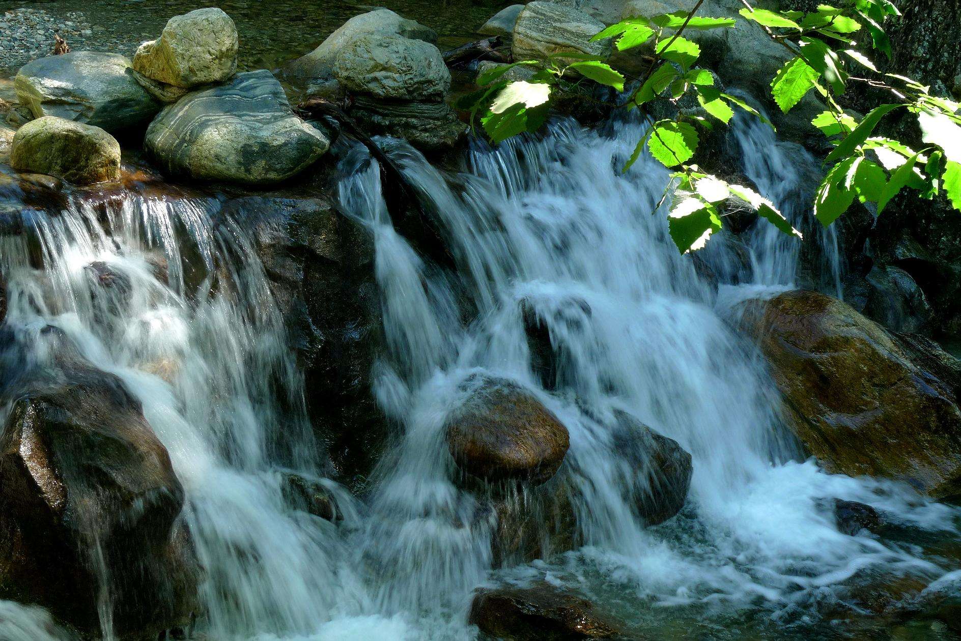 A scenic view of niubeiliang_national_forest_park