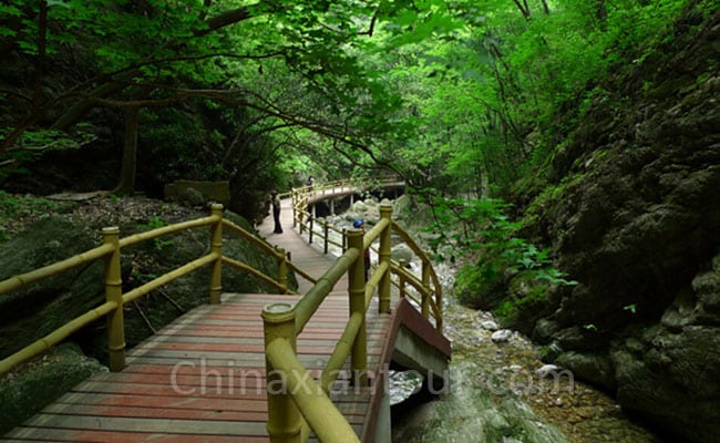 A scenic view of niubeiliang_national_forest_park