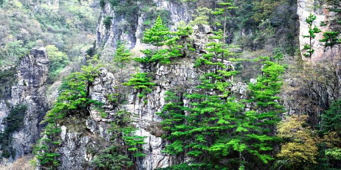 A scenic view of niubeiliang_national_forest_park