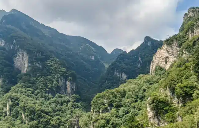 A scenic view of niubeiliang_national_forest_park