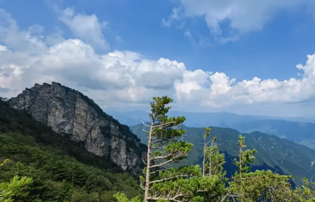 A scenic view of niubeiliang_national_forest_park